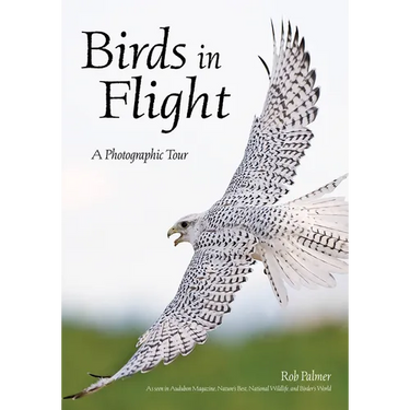 Birds in Flight: A Photographic Essay of Hawks, Ducks, Eagles, Owls, Hummingbirds, & More