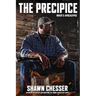 The Precipice