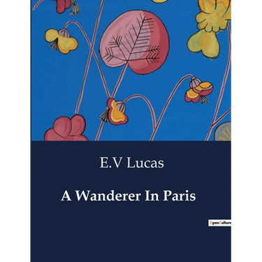 A Wanderer In Paris