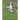 Ducks and Geese: From The Book of Poultry