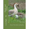 Ducks and Geese: From The Book of Poultry