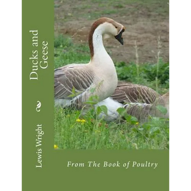 Ducks and Geese: From The Book of Poultry
