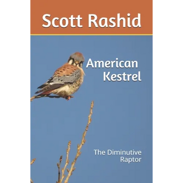 The American Kestrel: The Diminutive Raptor