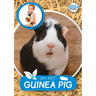 My Pet Guinea Pig