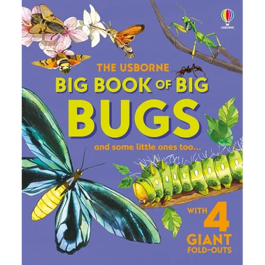 Big Book of Big Bugs