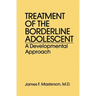 Treatment of the Borderline Adolescent: A Developmental Approach