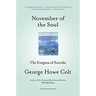 November of the Soul: The Enigma of Suicide