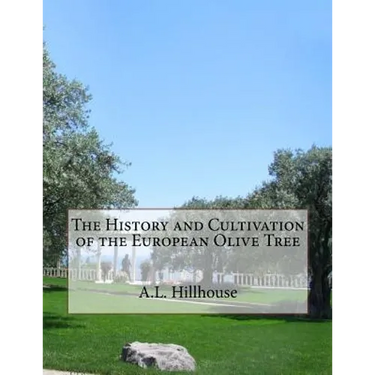 The History and Cultivation of the European Olive Tree