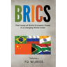 Brics: The Future of World Economic Power in a Changing World Order