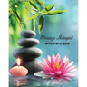 Massage Therapist Appointment Book: Therapy Log Notes, Client Planner, Record Information Organizer, Schedule, Journal