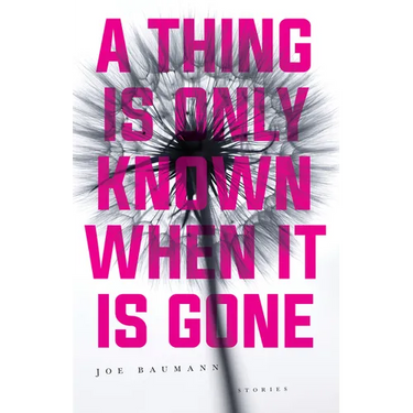 A Thing Is Only Known When It Is Gone