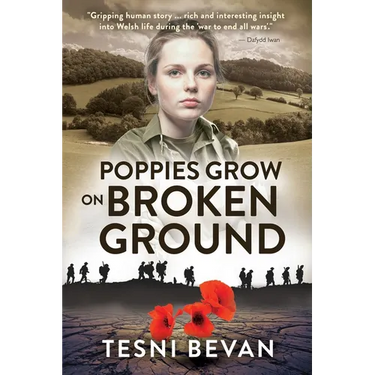 Poppies Grow on Broken Ground
