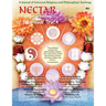 Nectar of Non-Dual Truth #31