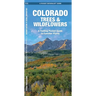 Colorado Trees & Wildflowers: An Introduction to Familiar Species