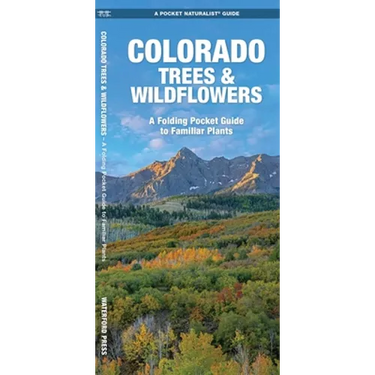 Colorado Trees & Wildflowers: An Introduction to Familiar Species