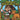 The Adventures of Backpacker Billy & Shave: Backpacker Billy and the Hawaiian Lion