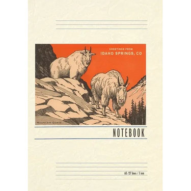Vintage Lined Notebook Greetings from Idaho Springs