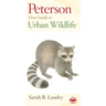 Peterson First Guide to Urban Wildlife