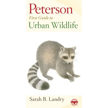 Peterson First Guide to Urban Wildlife