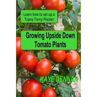 Growing Upside Down Tomato Plants: Learn How to Set Up a Topsy Turvy Planter