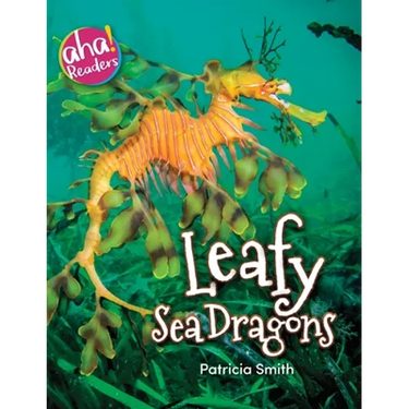 Leafy Sea Dragons