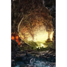 A Journey into the Center of the Earth
