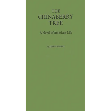 The Chinaberry Tree: A Novel of American Life