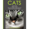 Cats: Cat Care: Kitten Care: How To Take Care Of And Train Your Cat Or Kitten