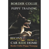 Border Collie Puppy Training Begins. . . From the Car Ride Home: Border Collie Puppy Training