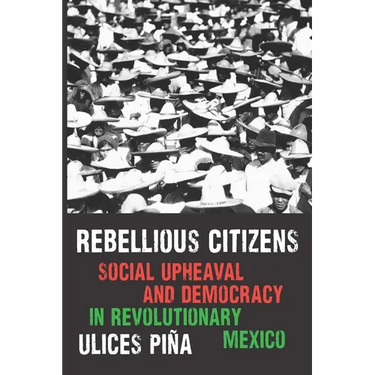 Rebellious Citizens: Social Upheaval and Democracy in Revolutionary Mexico
