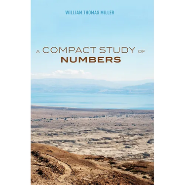 A Compact Study of Numbers