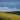 Forage for Pollinators in an Agricultural Landscape