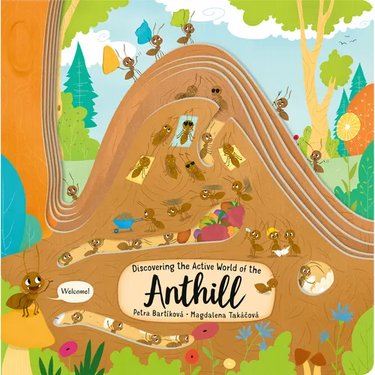 Discovering the Active World of the Anthill