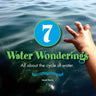 7 Water Wonderings: All about the cycle of water.