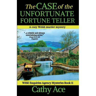 The Case of the Unfortunate Fortune Teller: A WISE Enquiries Agency cozy Welsh murder mystery