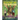 States of Terror Volume One