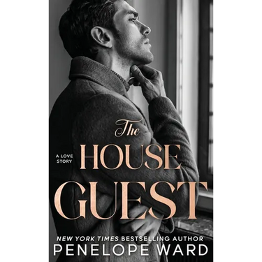 The House Guest: A Contemporary Romance