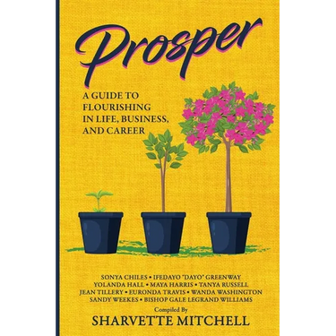 Prosper: A Guide to Flourishing in Life, Business, and Career