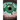 The Eyes that Guide Us: The Unsought Path
