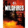 Wildfires