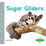 Sugar Gliders