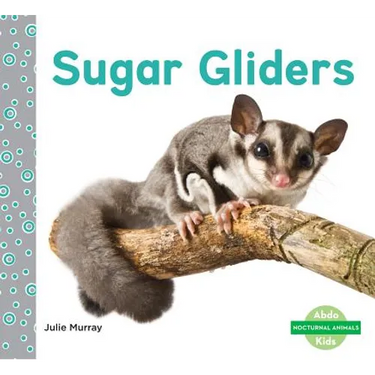 Sugar Gliders