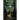 Jewel and the Missing Key to the Vault of Souls