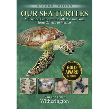 Our Sea Turtles: A Practical Guide for the Atlantic and Gulf, from Canada to Mexico
