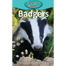 Badgers