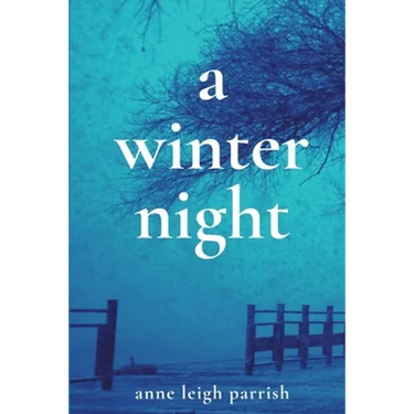 A Winter Night