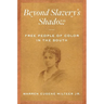 Beyond Slavery's Shadow: Free People of Color in the South