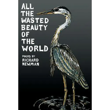 All the Wasted Beauty of the World - Poems