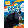 Black Bears
