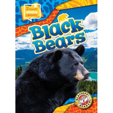Black Bears